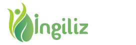 ingiliztuzu.com