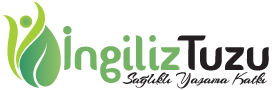 ingiliztuzu.com